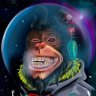 SpaceChimp