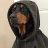 watchdog
